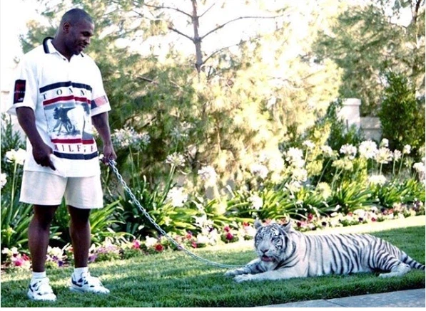 애완 호랑이를 키웠던 마이클 타이슨_1.webp