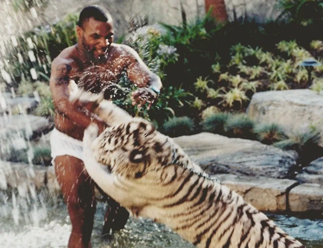 애완 호랑이를 키웠던 마이클 타이슨_2.webp