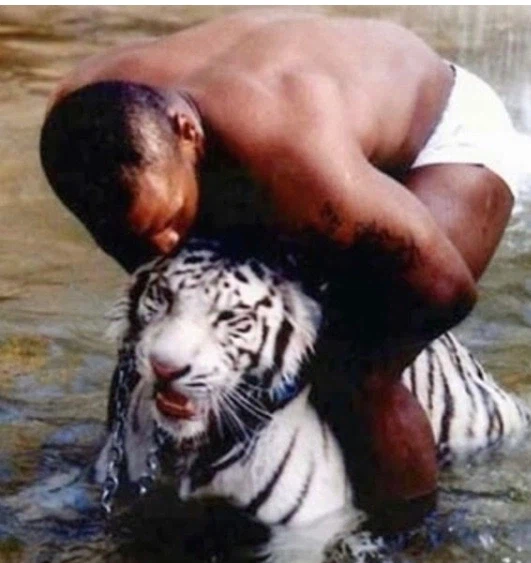 애완 호랑이를 키웠던 마이클 타이슨_3.webp