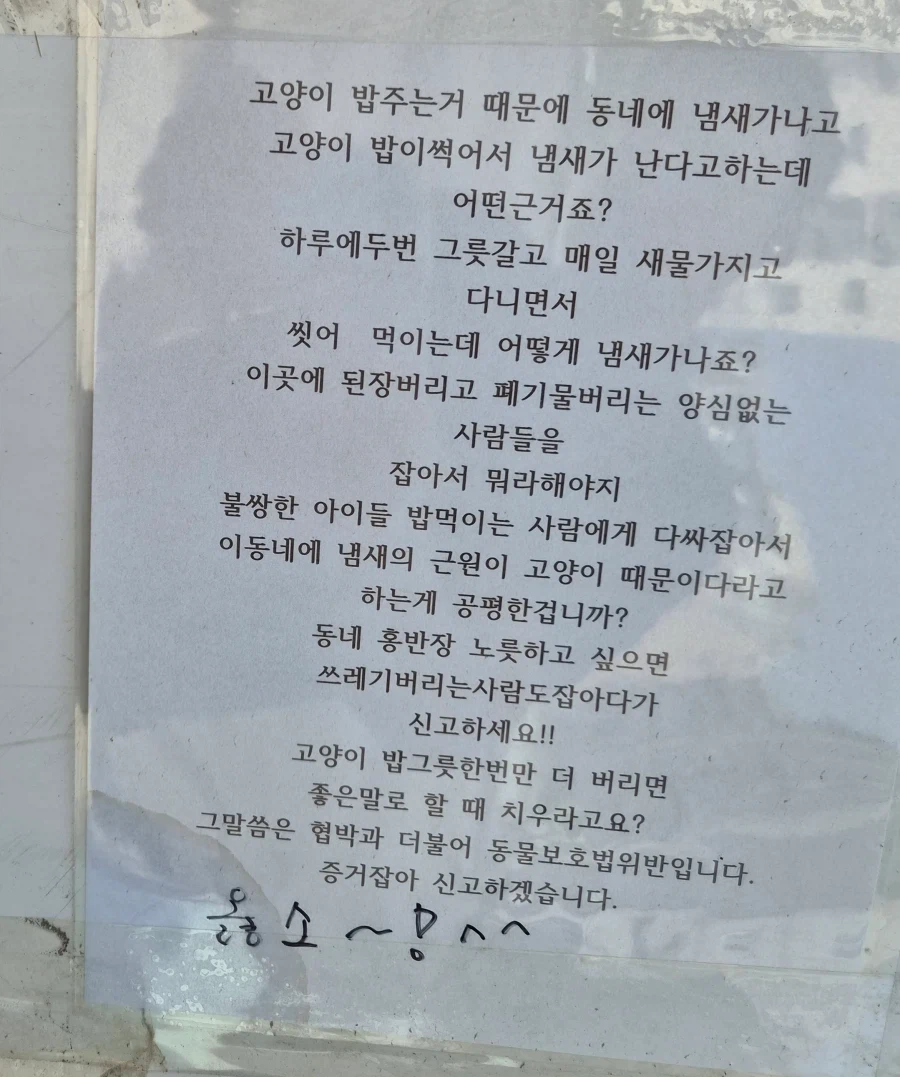 고양이어머님 화나심_1.webp