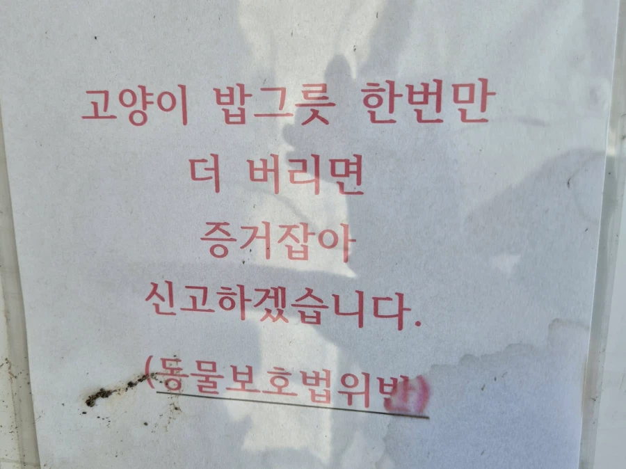 고양이어머님 화나심_3.webp