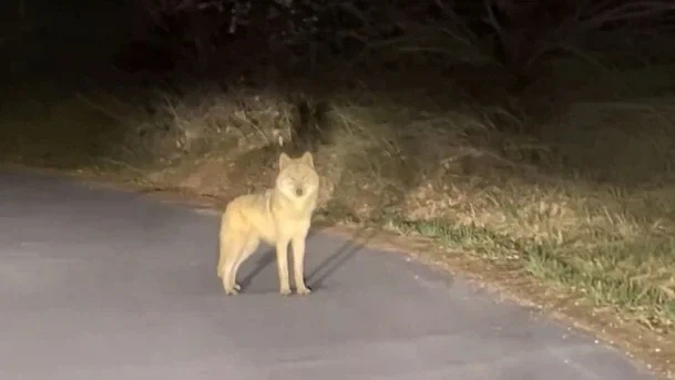 대전동물원에서 가장 재밌을 상황._1.webp