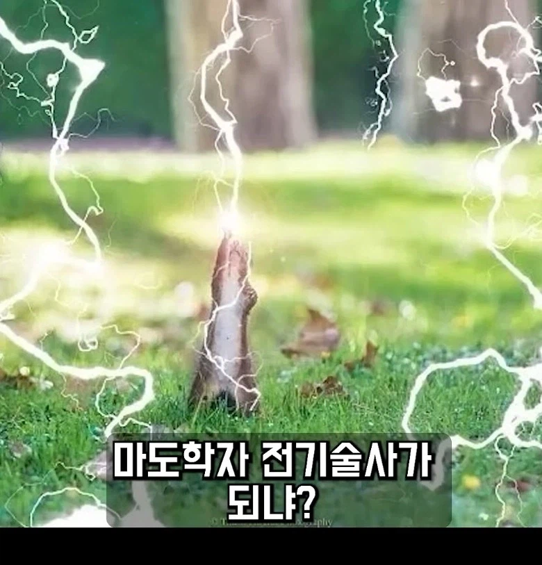 공식한글 번역때문에 주화입마 걸린 40k 팬덤_14.webp