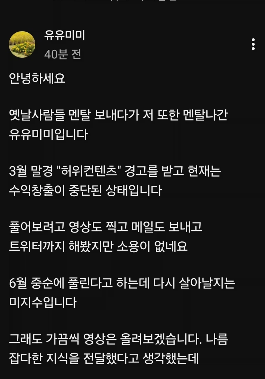 유튜버는 완전히 멘탈이 나가버렸습니다_1.webp