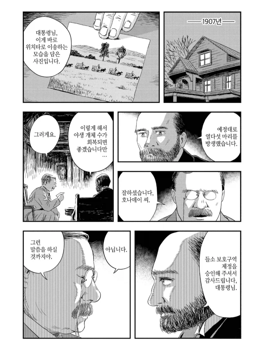 멸종위기까지 갔던 아메리카들소가 살아남은 이유_1.webp