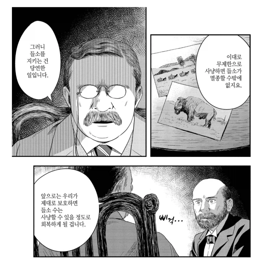 멸종위기까지 갔던 아메리카들소가 살아남은 이유_3.webp