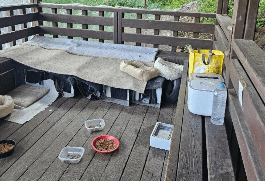 늑구가 배고품을 해결한 방법중 하나_3.webp