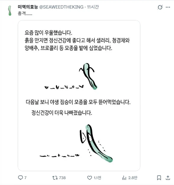 정신이 힘들 때 흙 만지는 것이 좋대요_1.webp
