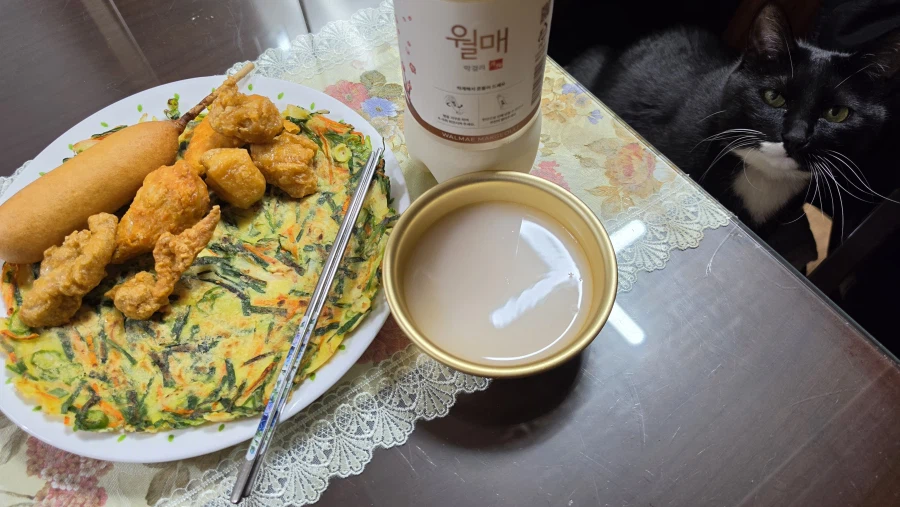 퇴근후 야옹이랑 소소하게 한잔함ㅎㅎ_1.webp