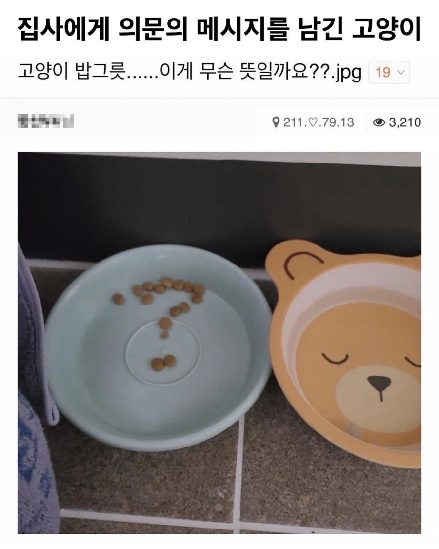 집사에게 메세지를 남긴 고양이_1.webp