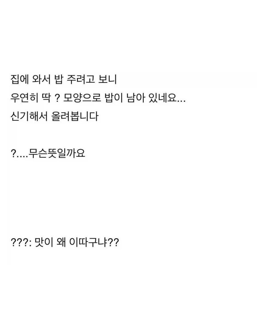 집사에게 메세지를 남긴 고양이_2.webp