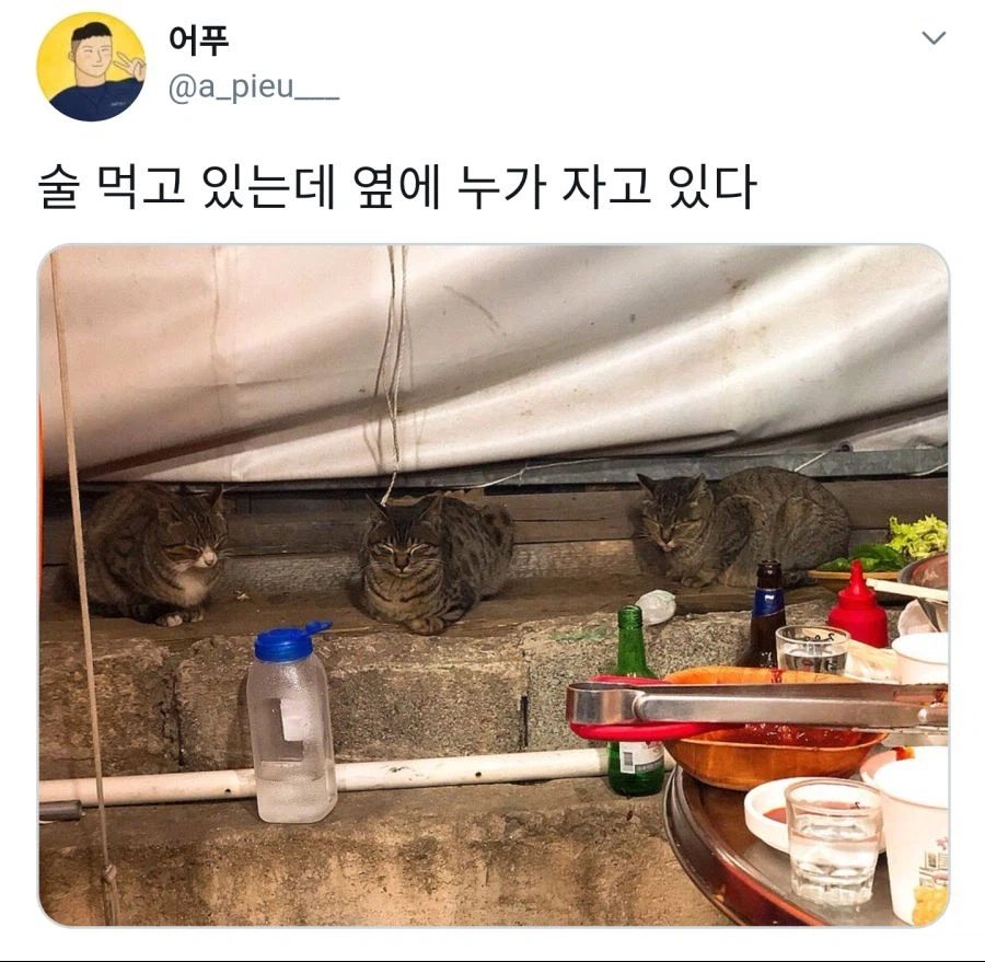 마당있는 집에서 술먹으면 겪을 수 있는 일_1.webp