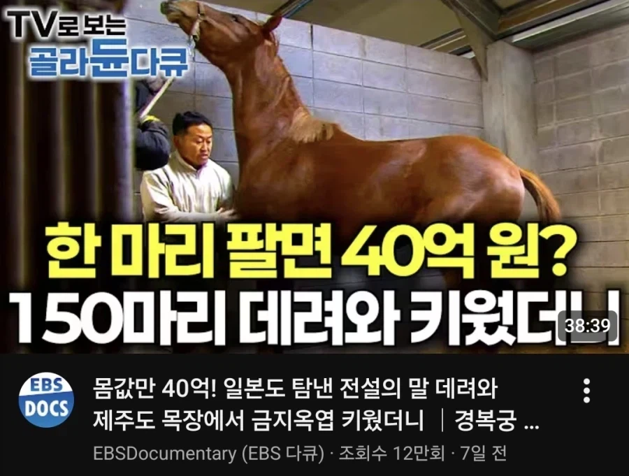 EBS 유튜브 채널 관리자의 사실 왜곡._1.webp