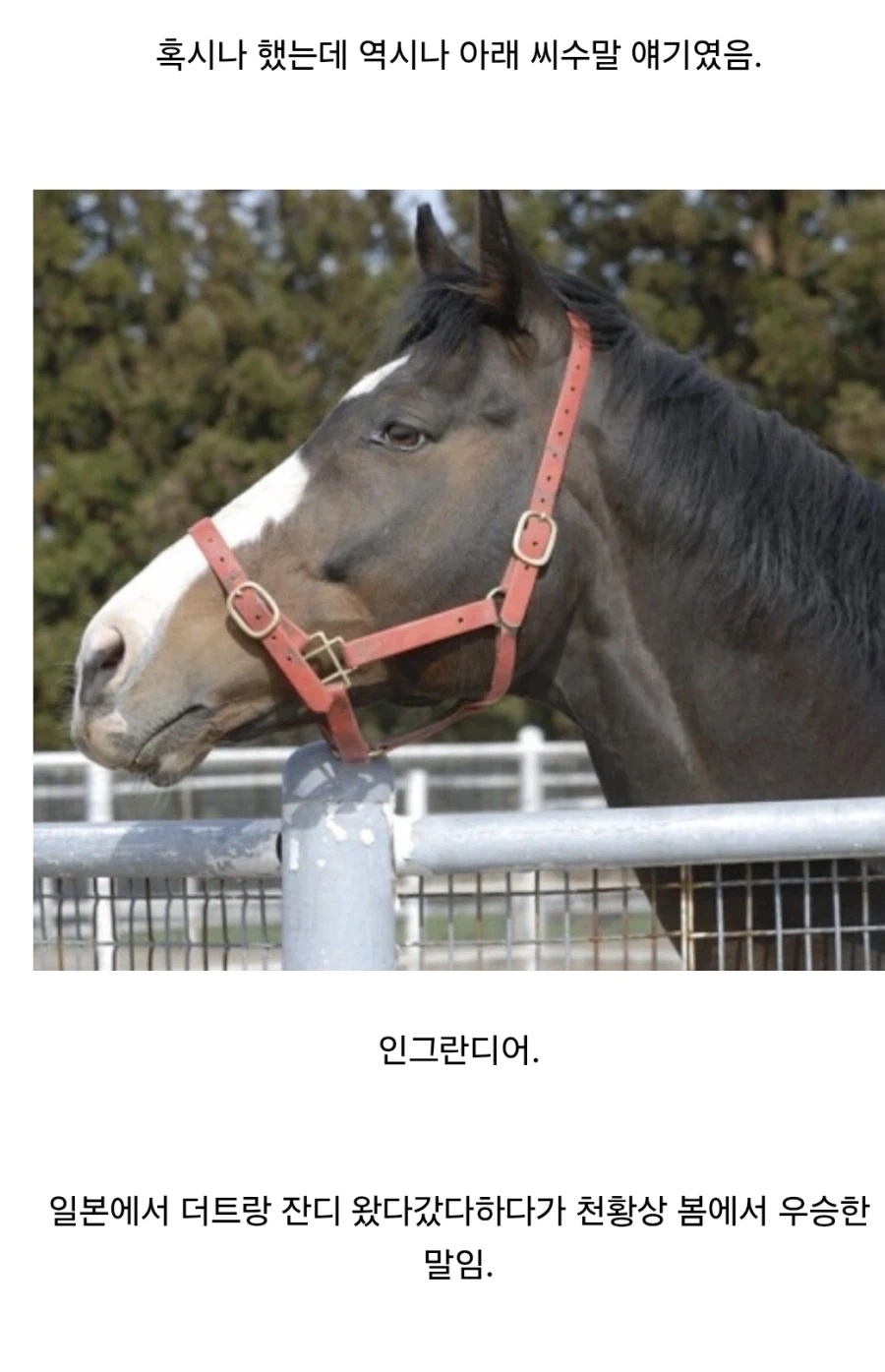 EBS 유튜브 채널 관리자의 사실 왜곡._2.webp