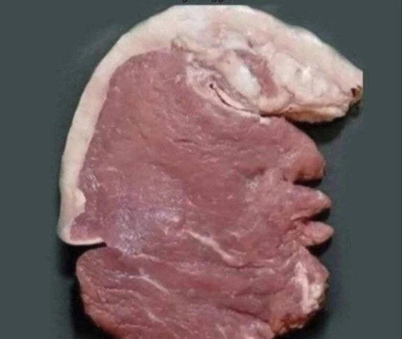 트럼프 아님_1.webp