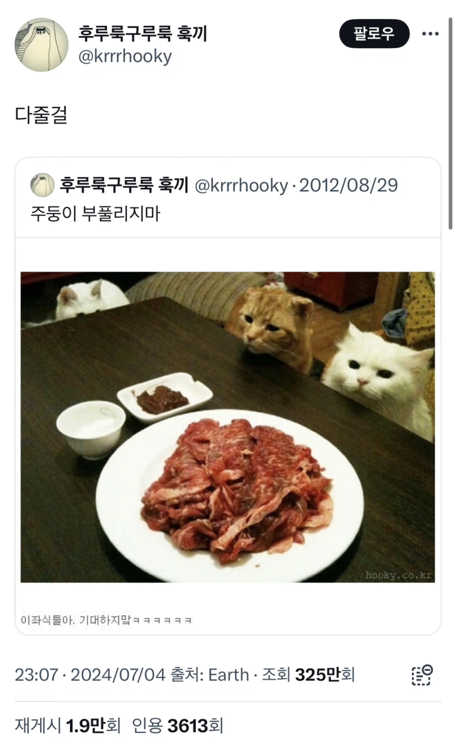 애완동물 키우는 사람 눈물스위치_1.webp