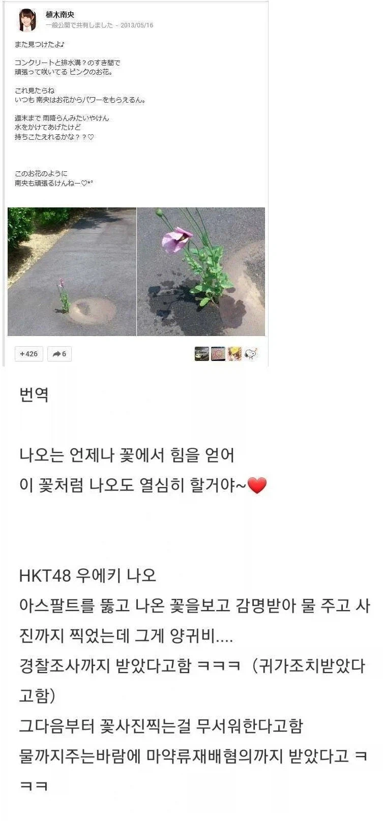 길가에핀 꽃보고 물줬다가 경찰조사 받은 일본 연예인_1.webp
