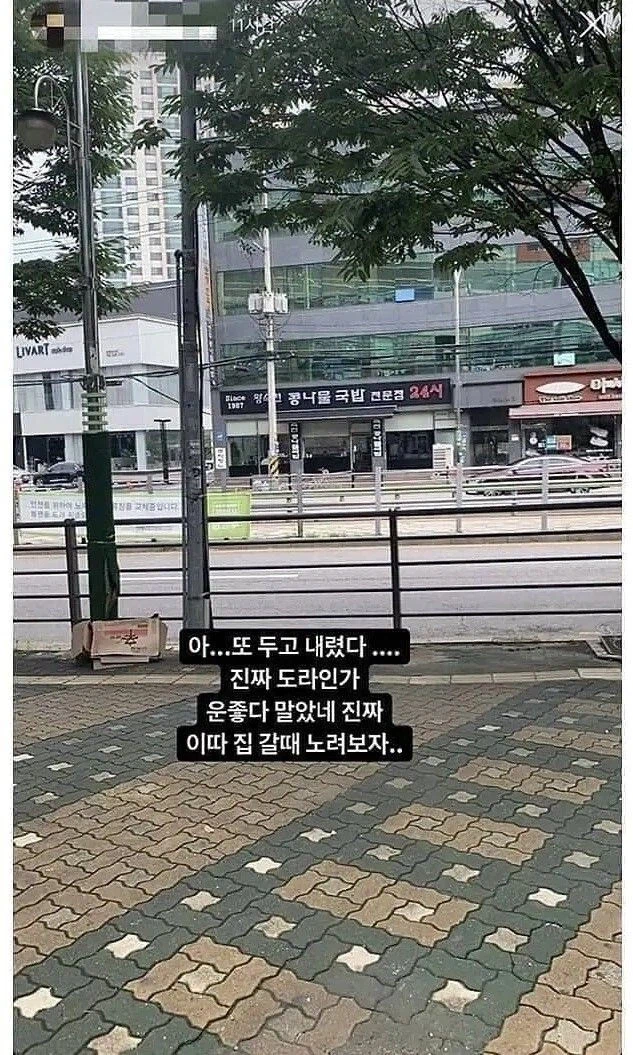 같은 실수를 반복한 우산 주인_2.webp
