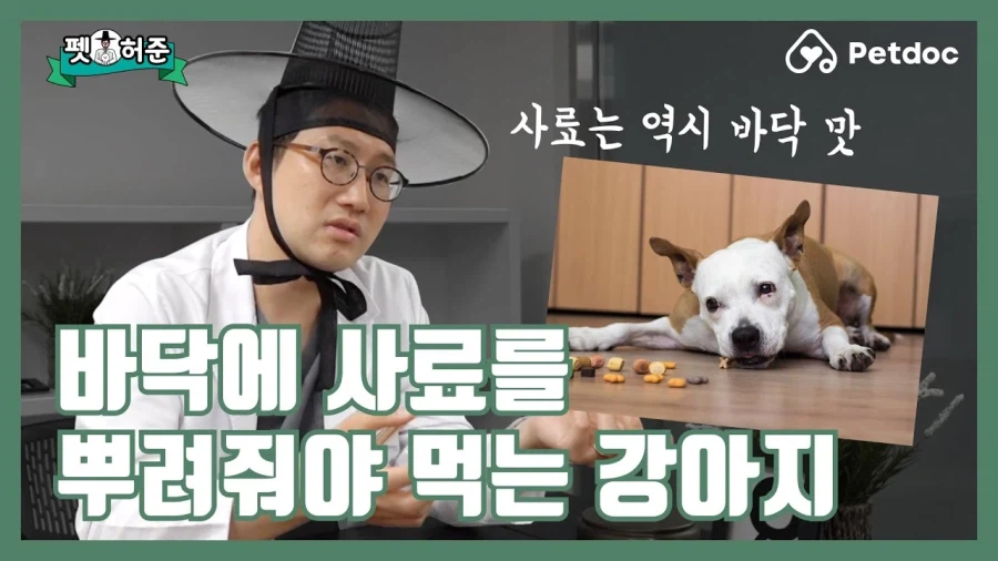 호들갑 떠는 늑구엄빠들은 개 키워본 적 없음_2.webp