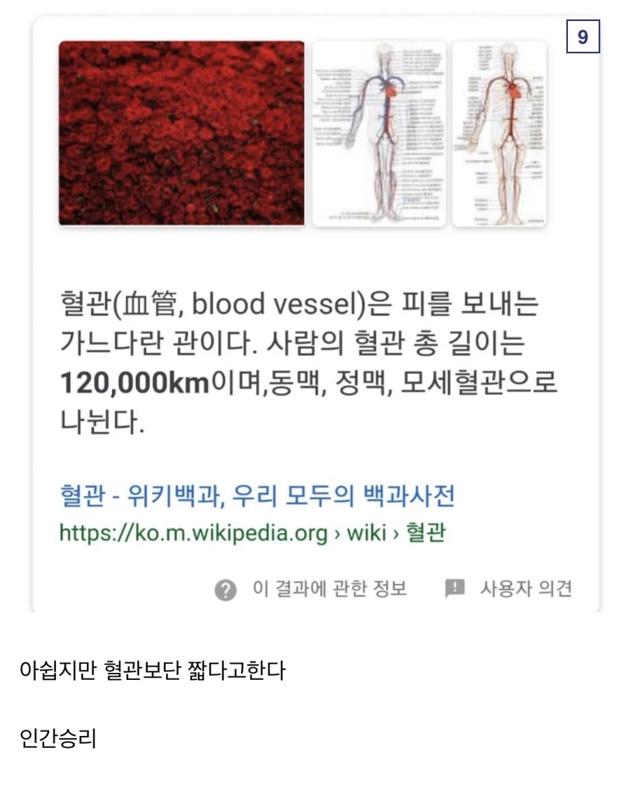 나루토 6천억장의 기폭찰 특징_9.webp
