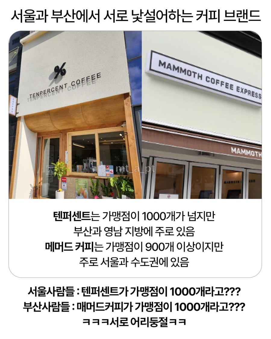 서울과 부산에서 서로 낯설어하는 커피 브랜드.jpg_1.webp