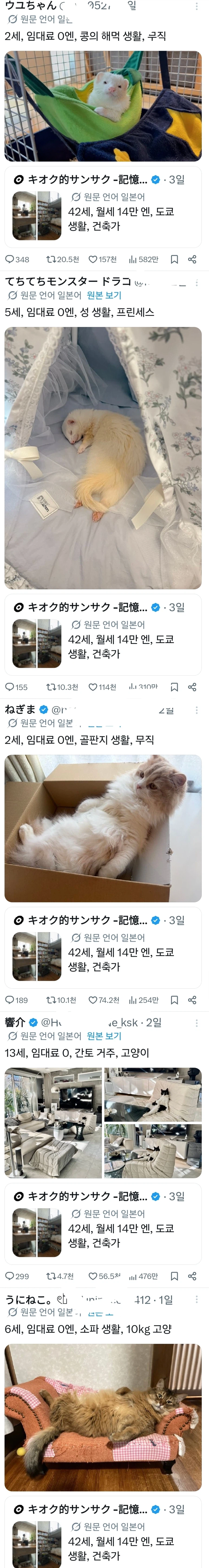 무직 동물 가족 사진 대잔치ㅋㅋㅋㅋㅋ_1.webp