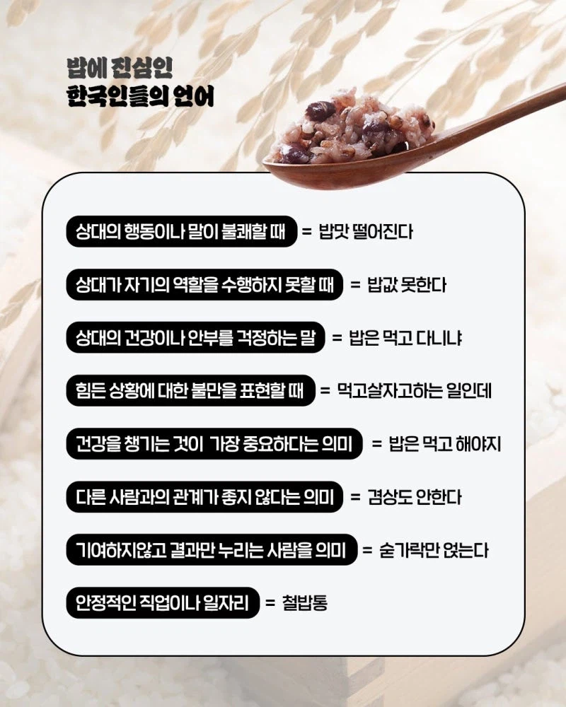 한국에 무상 급식이 정착할 수 있었던 이유_2.webp