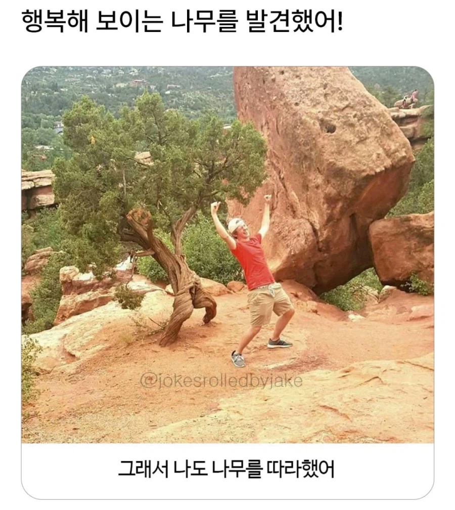 행복해 보이는 나무.jpg_1.webp