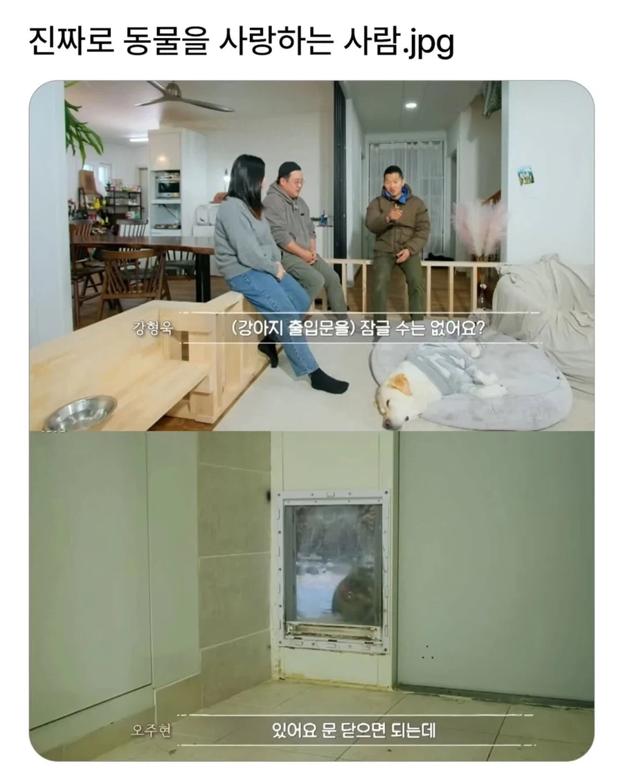 진짜로 동물을 사랑하는 사람_1.webp