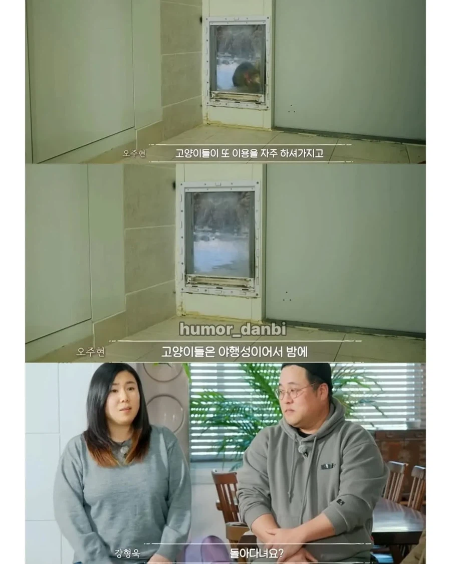 진짜로 동물을 사랑하는 사람_2.webp