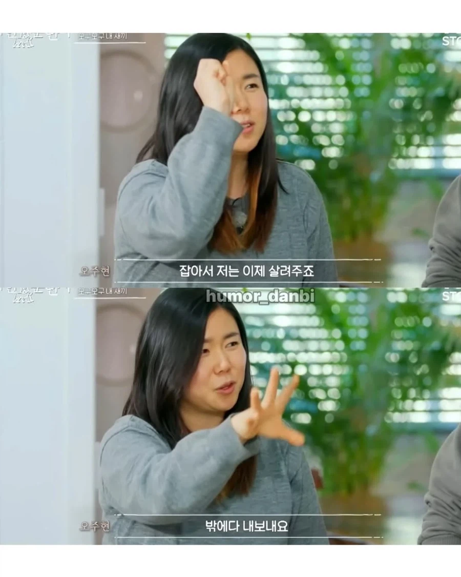 진짜로 동물을 사랑하는 사람_11.webp