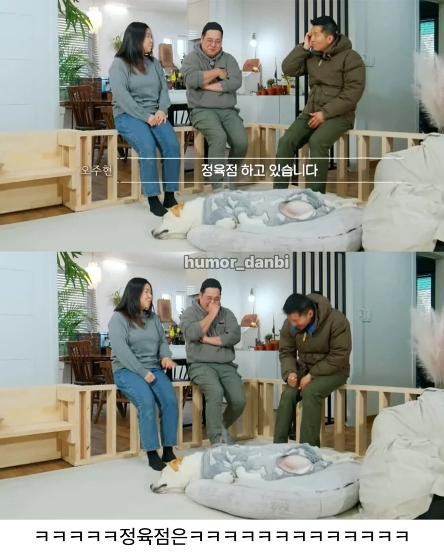 진짜로 동물을 사랑하는 사람_13.webp