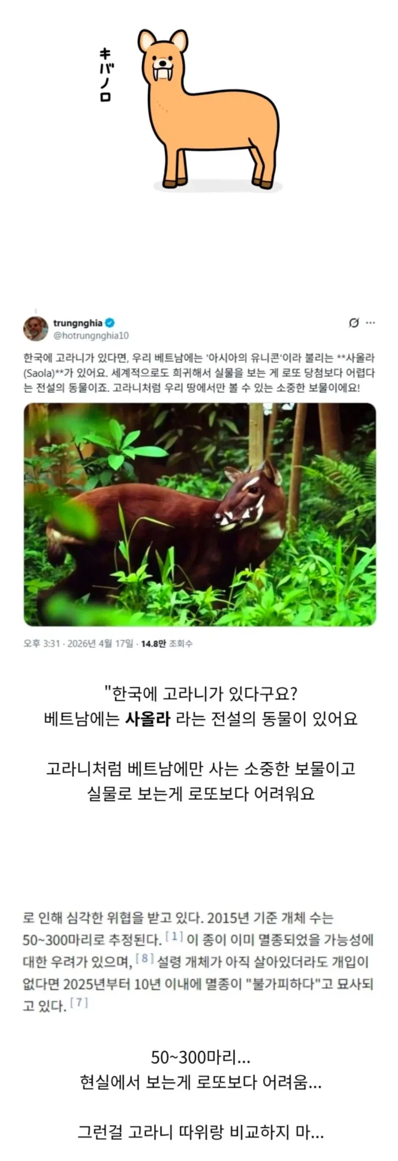 비틱질하는 베트남놈들_1.webp