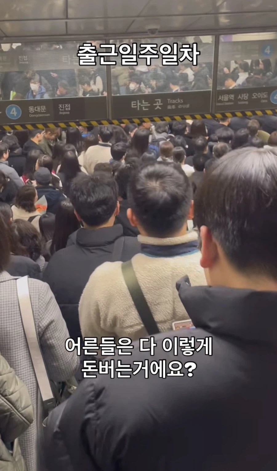 출근길 우울할 때 보면 조금 힐링되는 장면_1.webp