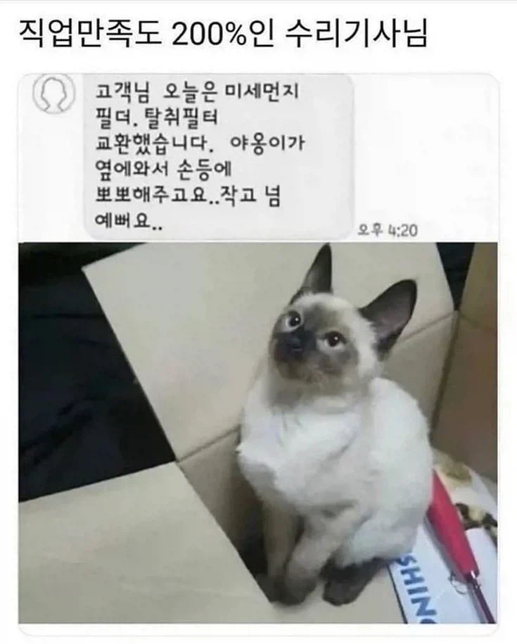 야옹이 뽀뽀쪽_1.webp