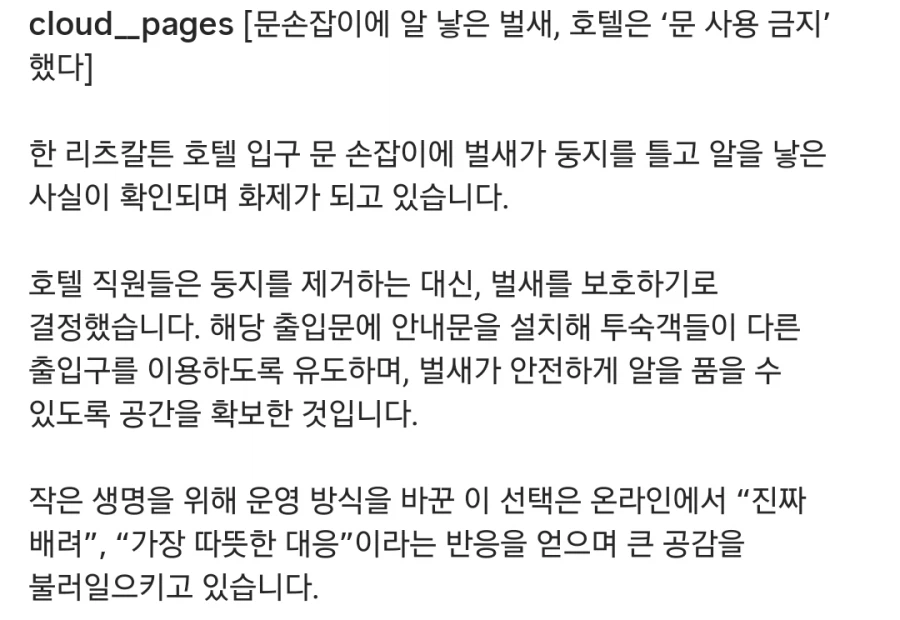 손잡이에 알 낳은 벌새 위해 문 사용 금지한 호텔_3.webp
