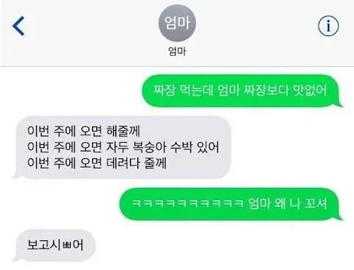 아들 꼬시는 엄마_1.webp