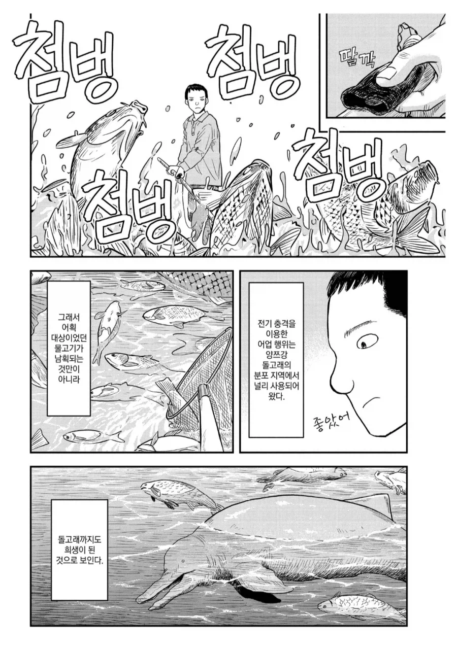 중국의 20만 어부가 직업을 잃은 이유_2.webp