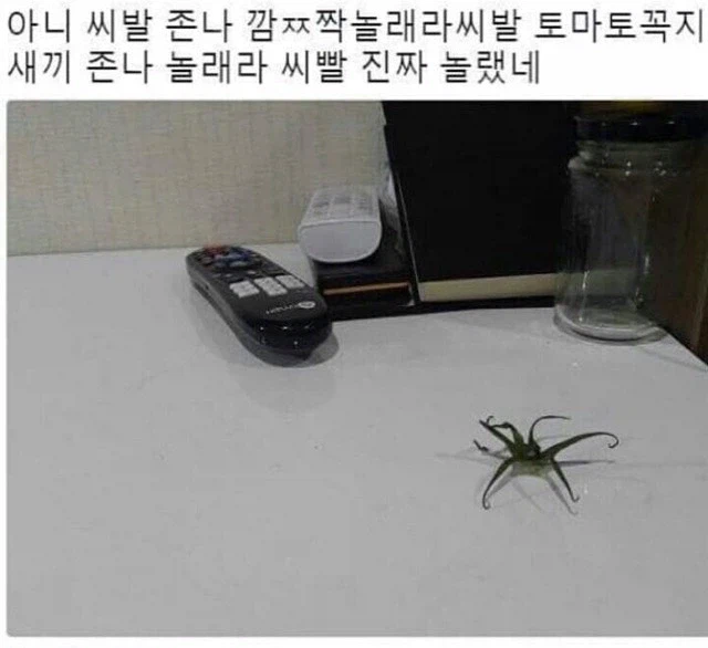 다 먹고 뒷정리를 잘 해야하는 이유_1.webp