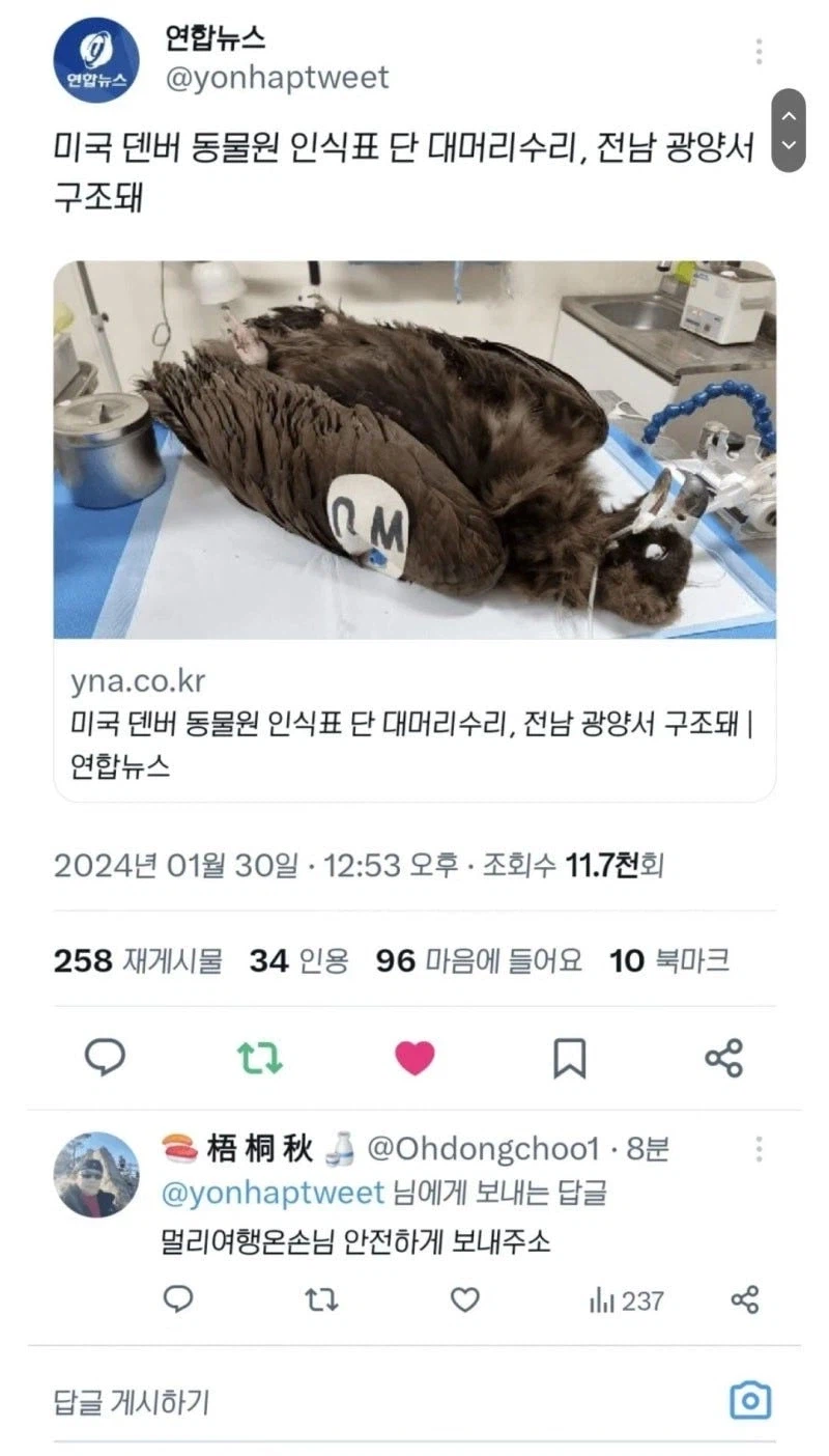 아따 여가 라도 맞소잉? 허벌나게 멀구마잉 딴나라 같소?_1.webp