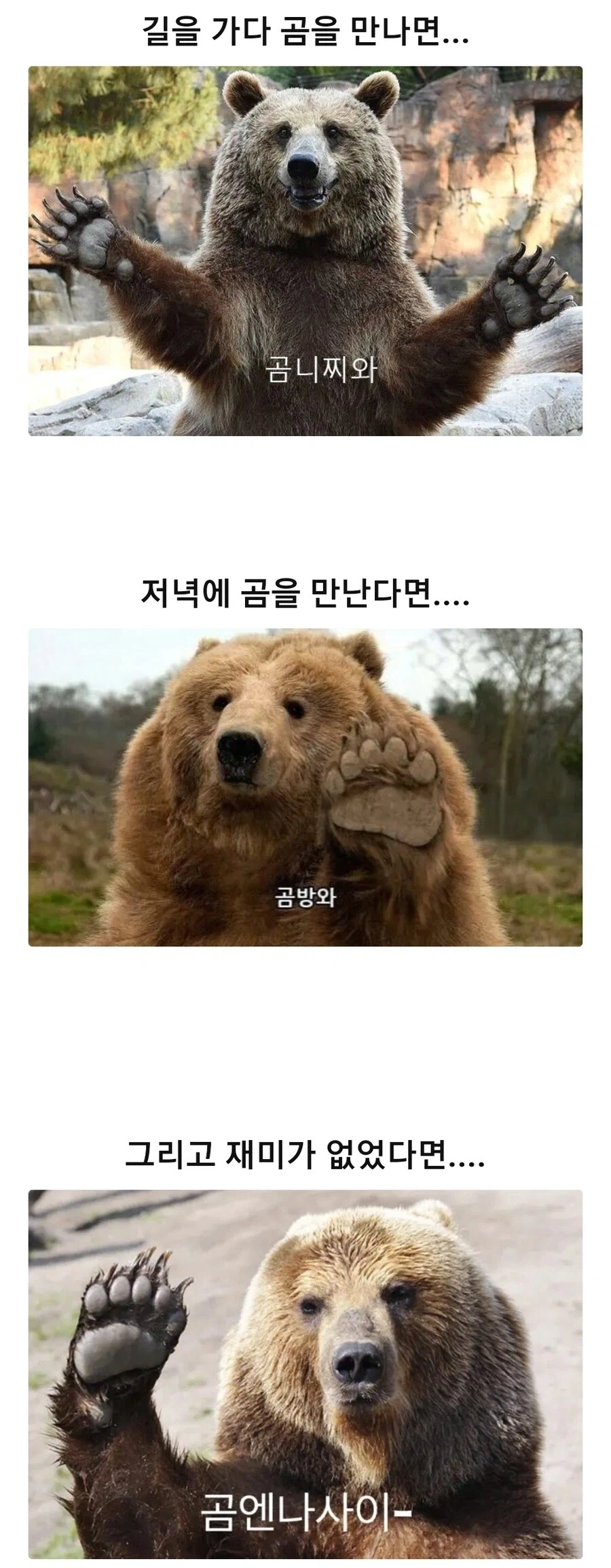 일본 여행가서 갑자기 곰을 만났을때_1.webp