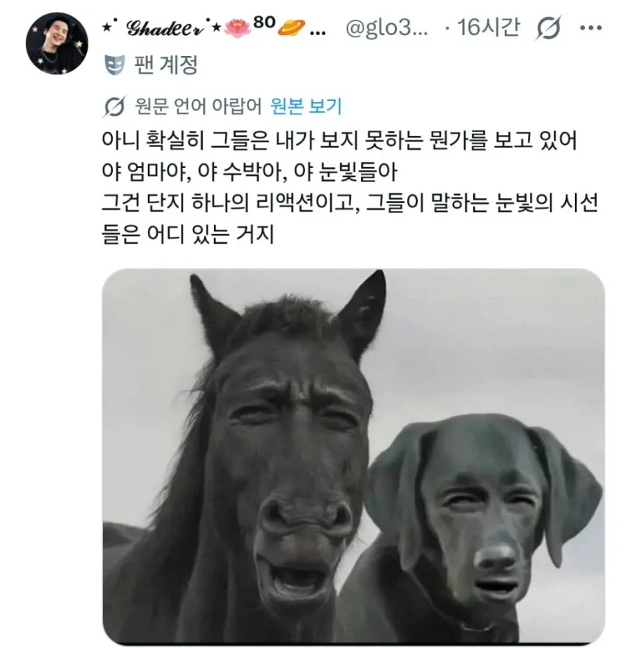 변우석 연기 못한다고 말했다가 욕먹었다는 단군_10.webp