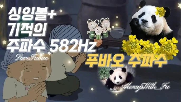 푸바오 돌아오는 주파수_1.webp