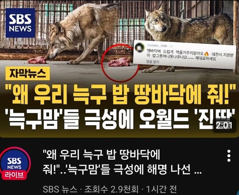캣맘의 시대가 가고 나타난 새로운 세력_1.webp