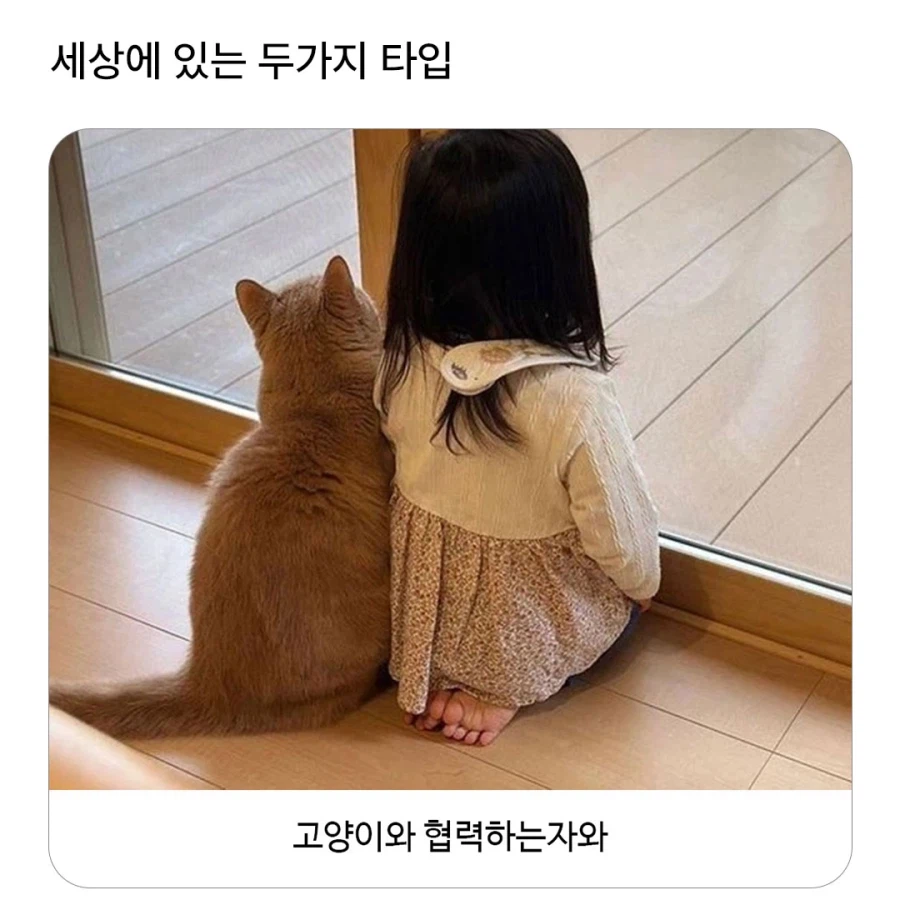 세상에는 두 종류의 인간이 있다._1.webp