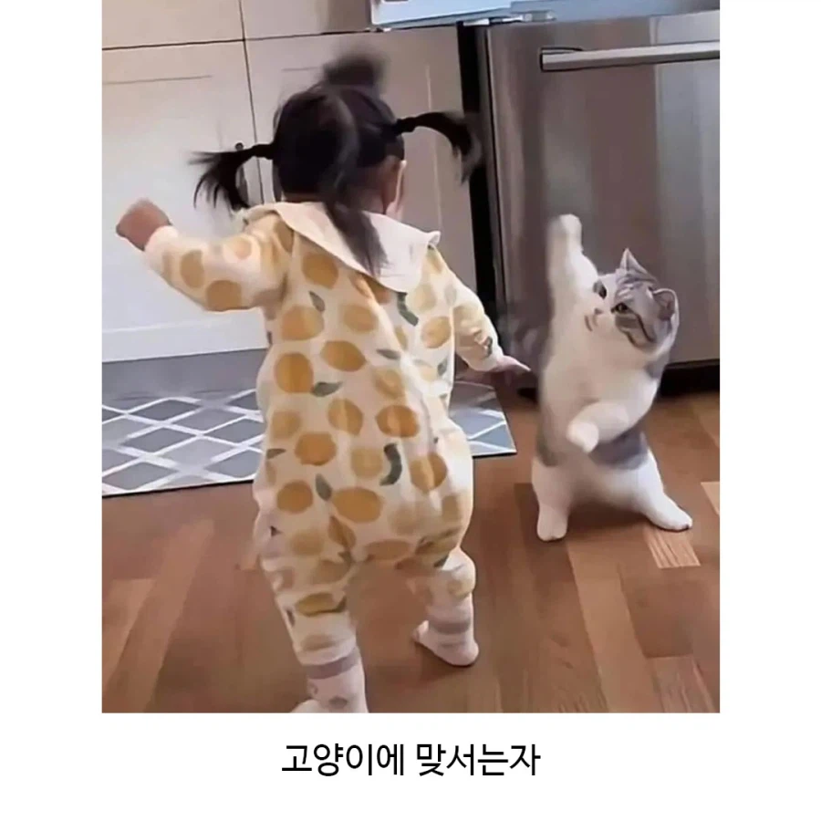 세상에는 두 종류의 인간이 있다._2.webp