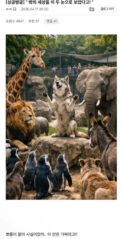 밖의 세상을 두 눈으로 보았다고!!_1.webp