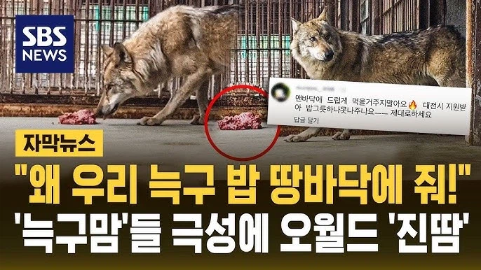 오월드 욕먹는 중 ㅋㅋ_1.webp