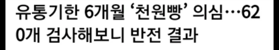 천원빵 620개 전수조사 충격 결과_1.webp