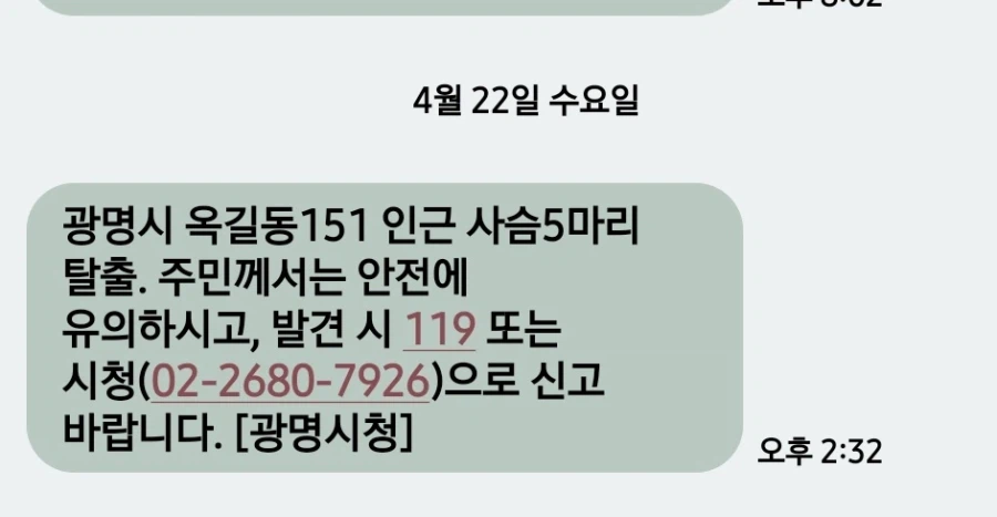 늑구가 자유의 씨앗을 뿌린거냐???_1.webp